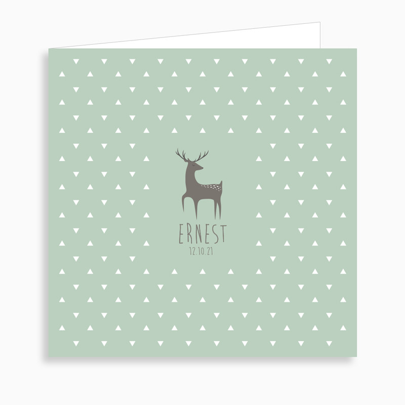 Faire-part de naissance jeune cerf (dépliant 4 pages)