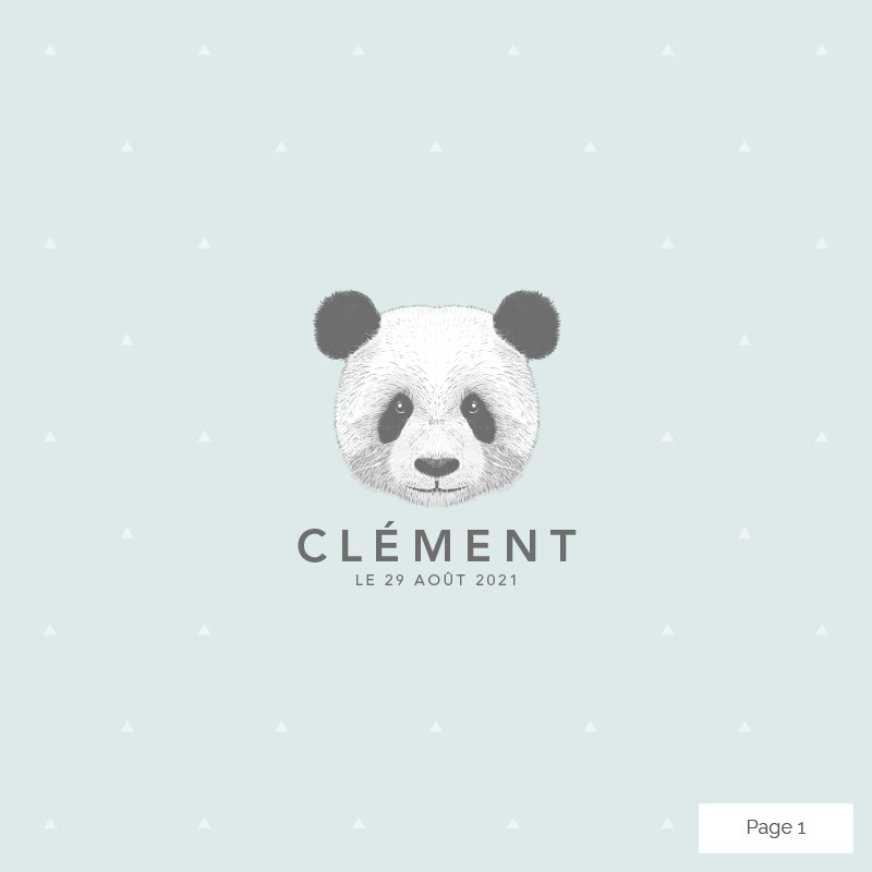 Faire-part de naissance petit panda dépliant 4 pages, Choix du coloris: Bleu antarctique