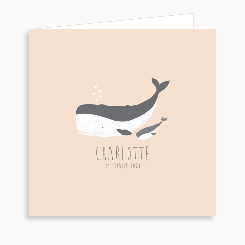 Faire-part de naissance petite baleine dépliant 4 pages