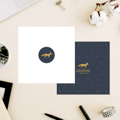 Stickers naissance pour Garçon