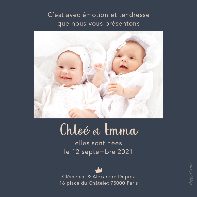 Faire-part de naissance cygnes blancs pour jumelles, Choix du coloris: Bleu lunaire, Choix du verso: Photo rectangulaire