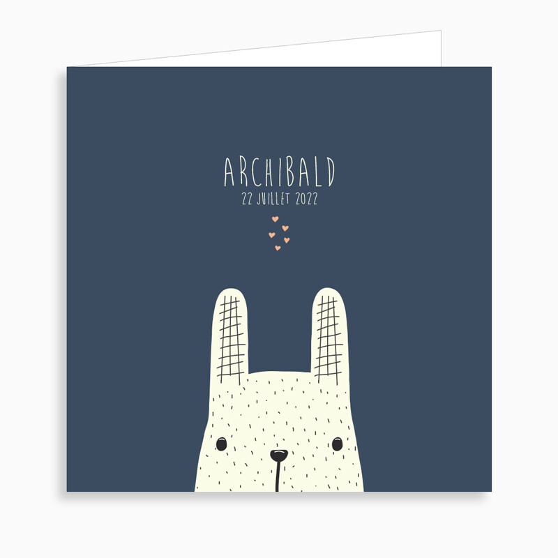 Faire-part de naissance petit lapin jouant à cache-cache (dépliant 4 pages)