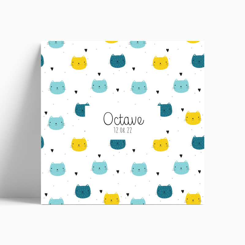 Faire-part de naissance petits chats