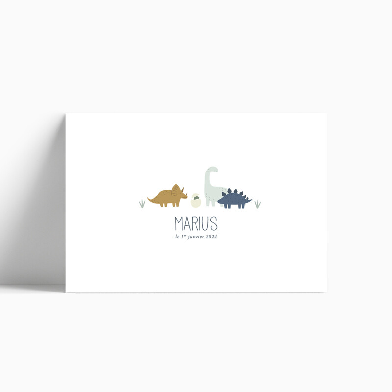 Faire-part de naissance Dinosaures (paysage)