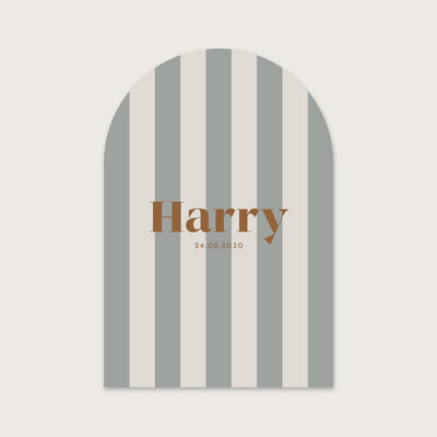 Faire-part de naissance "Harry" (arche)