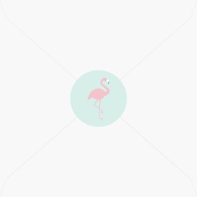 Stickers de naissance flamant rose pour fille Stickers de naissance flamant rose pour fille