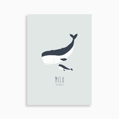 Faire-part de naissance petit baleineau (carte postale)