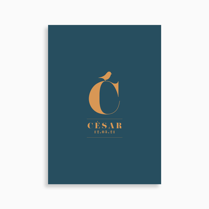 Faire-part de naissance lettre monogramme et petit oiseau (carte postale)
