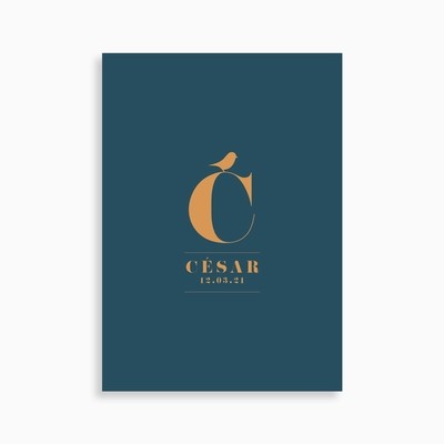 Faire-part de naissance lettre monogramme et petit oiseau (carte postale)
