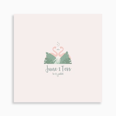 Faire-part de naissance flamants roses pour jumelles Faire-part de naissance flamants roses pour jumelles