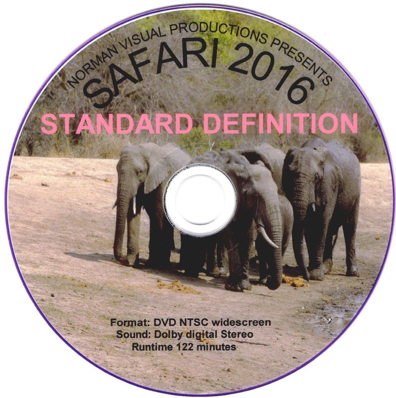 SAFARI 2016 DVD STD DEFINITION WIDESCREEN