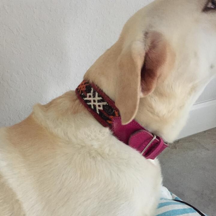 Leather Moroccan Kilim Collar