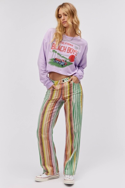 Beach Boys Crop