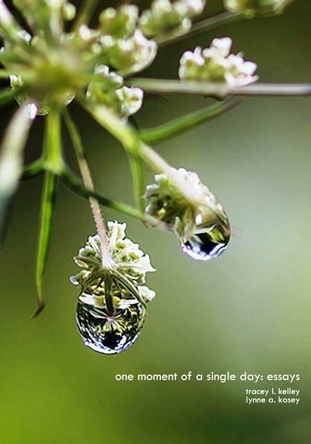 one moment of a single day: essays | limited edition hardcover