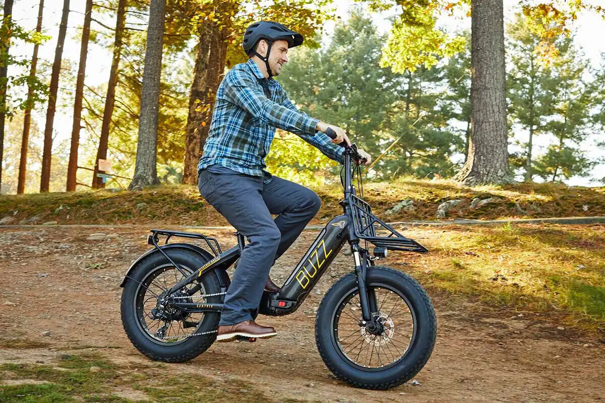 Buzz e bike price sale