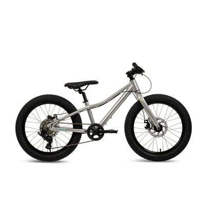 Batch 20" Kids Fat Tire Mountain Bike Cameleon 123456P