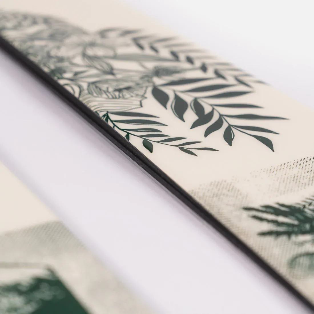 2025 Faction Prodigy 2 Capsule 2025 Faction Prodigy 2 Capsule