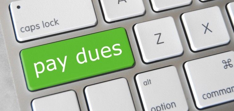 Chapter Dues ($100 Increments)