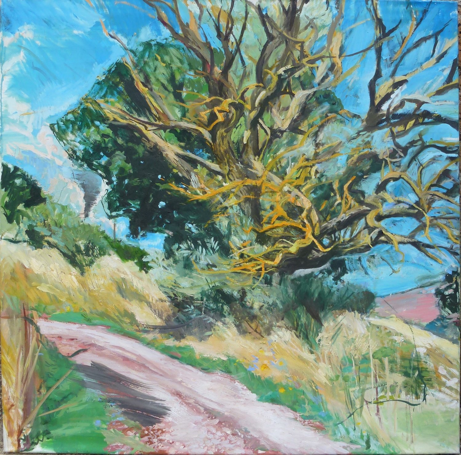 White Road and the Dry Tree, oil on canvas 91x91cm 36"x36"