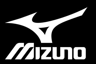 Indoorschoenen Mizuno
