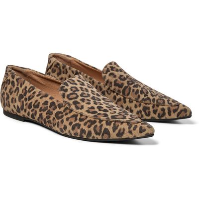 Jomy (Leo Suede) Pavement