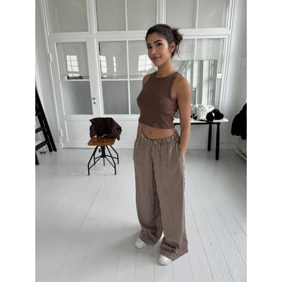 Noah Small Stripe (Brown) Pants Continue