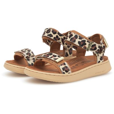 Line Animal Sandal (Leopard) Woden