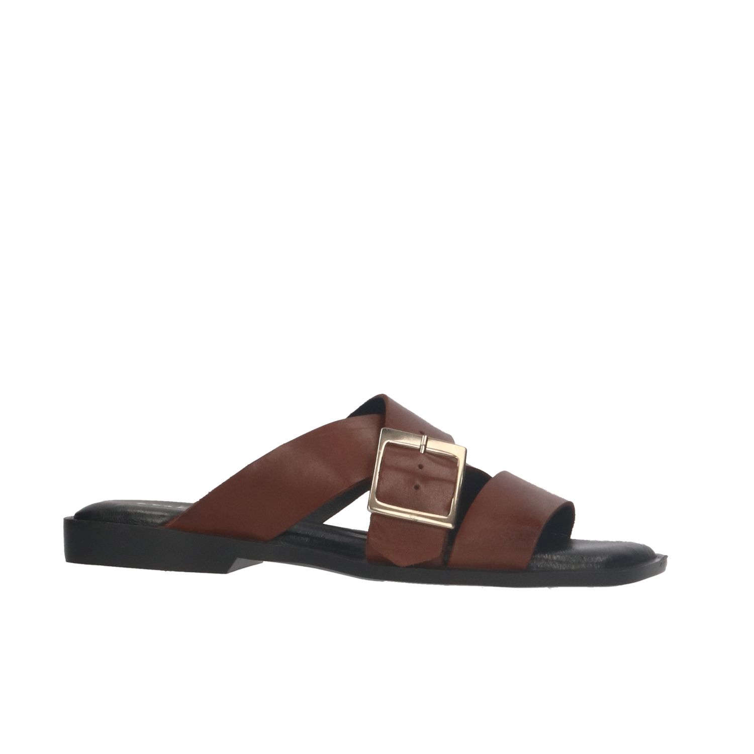 PAMarisol brown Pavement