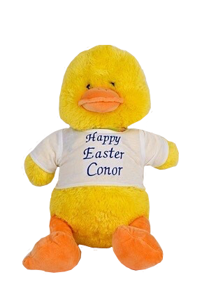 Easter Chick with personalised t-shirt