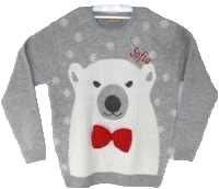 Personalised Adult Polar Bear Jumper