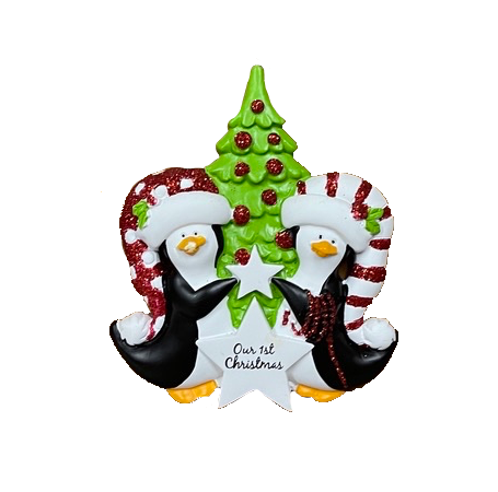 Our 1st Christmas couple  Ornament