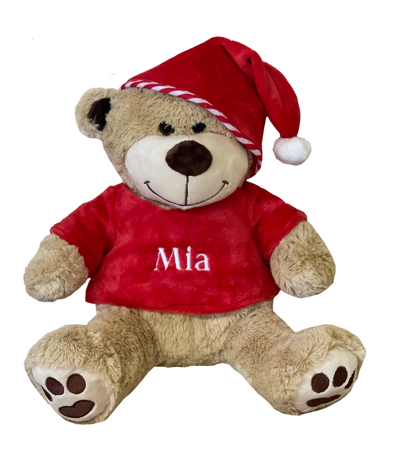 Deluxe personalised Christmas Bear