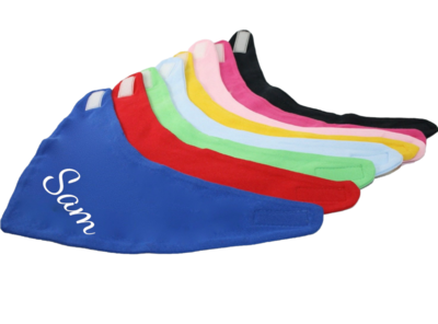 Bandana Bib