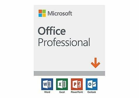 Microsoft Office Professional 2019 269-17071