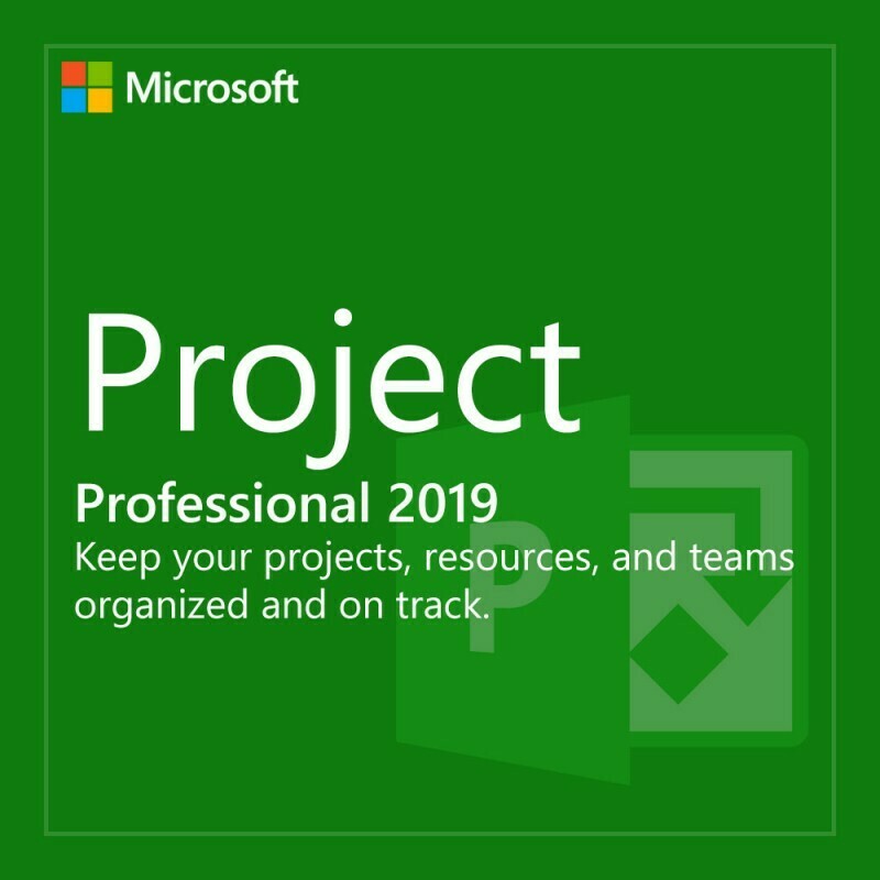 Microsoft Project Professinoal 2019 H30-05756