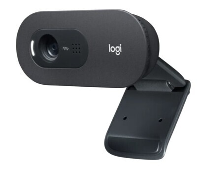 Logitech C505 HD Webcam