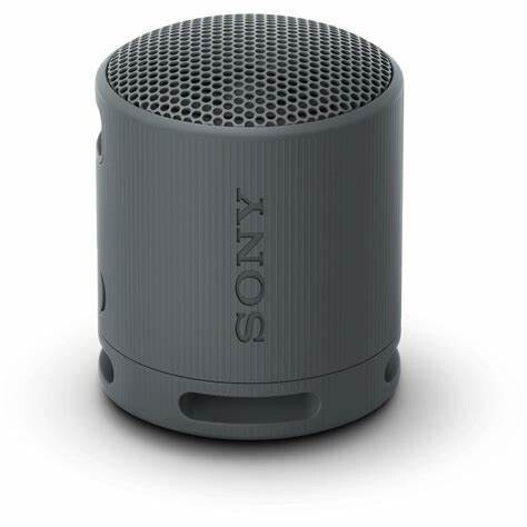 Sony XB100 Portable Wireless Speaker SRS-XB100