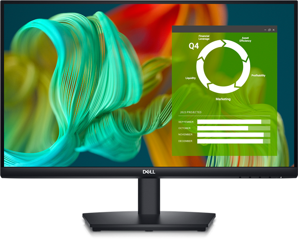 Dell 24&quot; Monitor E2424HS