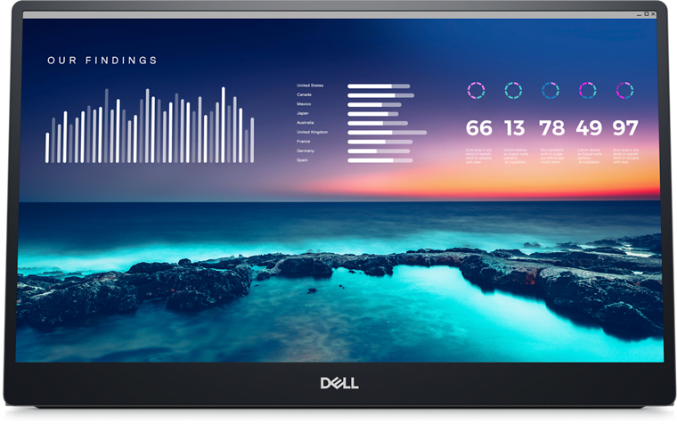 Dell 14" Portable Monitor P1424H