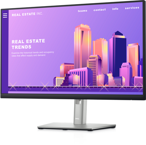 Dell 24&quot; Monitor - P2422H