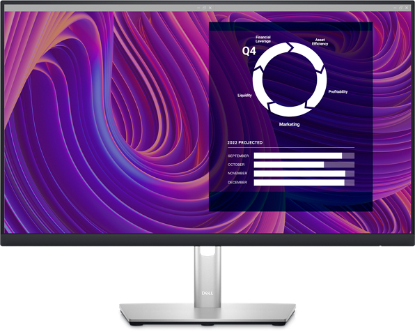 Dell 24&quot; Monitor - P2423D