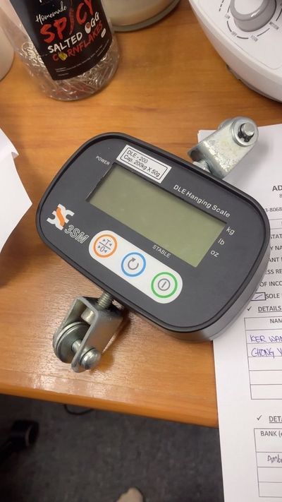 3SM Digital Hanging Scale DLE200/DLE300, Model: DLE-200(200kg x 50g)