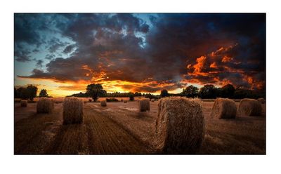 Samsung VM55B-U Ultra Narrow Bezel 55&quot; LCD Video Wall