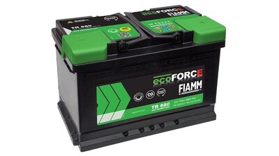 FIAMM