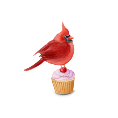 Cardinal on a Cupcake. Bird Lover Watercolor Painting, Watercolor Cardinal, Watercolor Bird Decor, Watercolor Donut, Watercolor Cupcake, Nature Decor