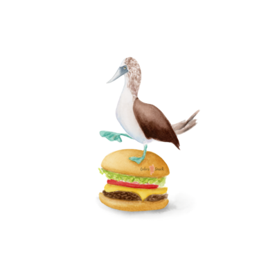 Booby on a Burger. 
Bird Lover Watercolor Painting, Watercolor Booby Bird, Watercolor Bird Decor, Watercolor Burger Nature Decor