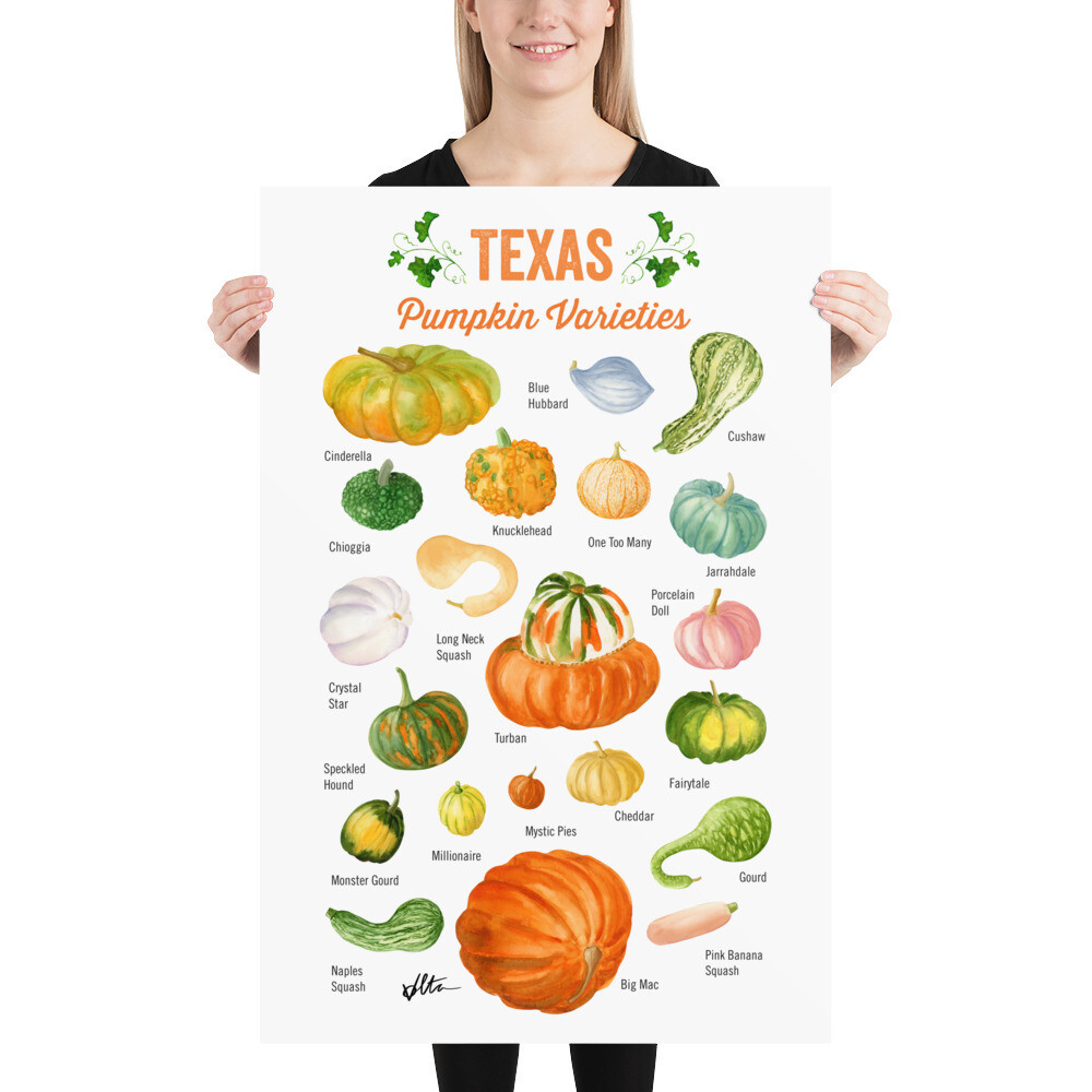 Watercolor Pumpkin Varieties Poster