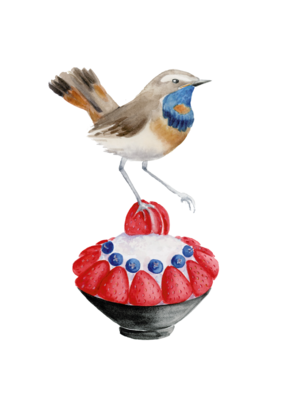 Bluethroat on a Berry Bingsu.
Bird Lover Watercolor Painting, Watercolor Booby Bird, Watercolor Bird Decor, Watercolor Burger Nature Decor
