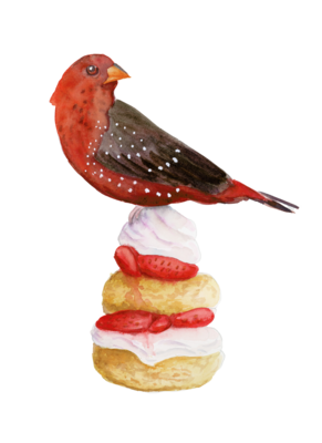 Strawberry Finch on a Strawberry Shortcake.  
Bird Lover Watercolor Painting, Watercolor Booby Bird, Watercolor Bird Decor, Watercolor Burger Nature Decor