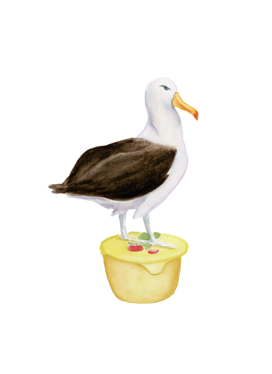 Alabtross on Apple Sauce.
Bird Lover Watercolor Painting, Watercolor Booby Bird, Watercolor Bird Decor, Watercolor Burger Nature Decor